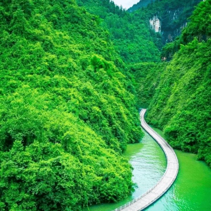 用户4373198974189小毛