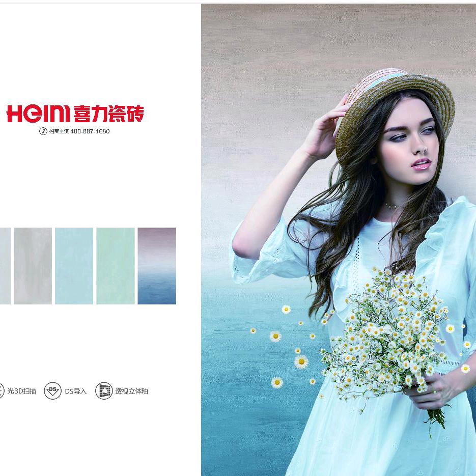 喜力瓷砖*王胖子