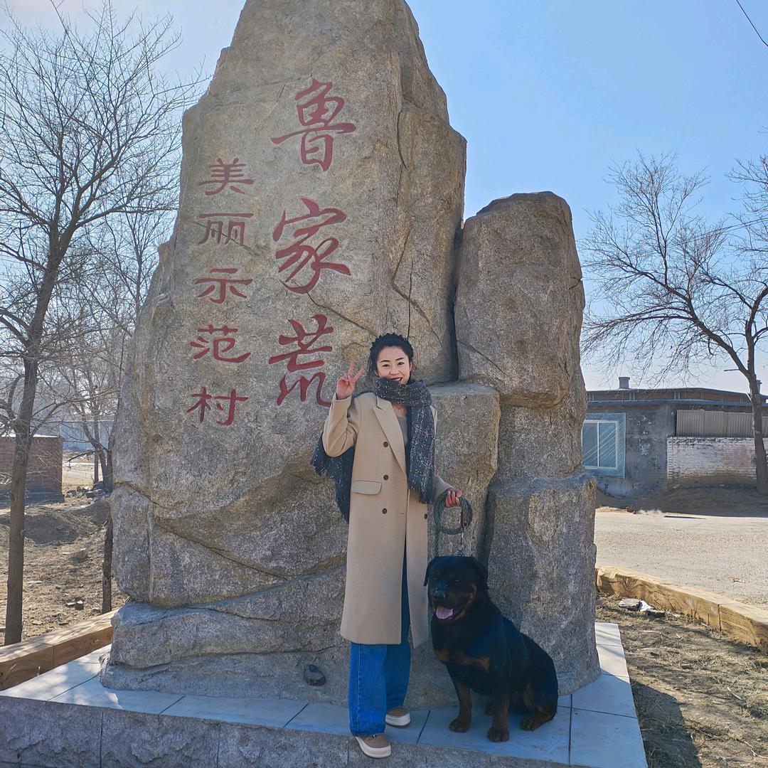 阜新山南