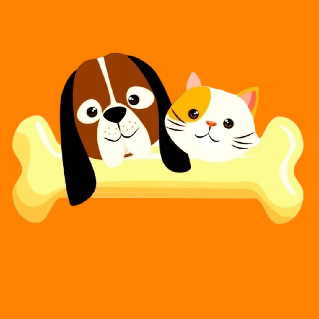 宠物零食工厂-大飞