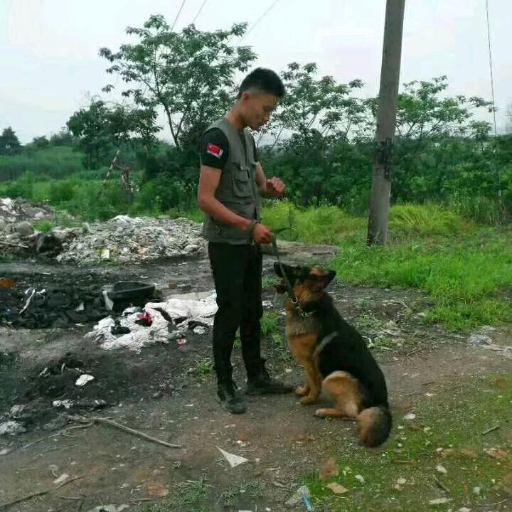 烈焰犬业