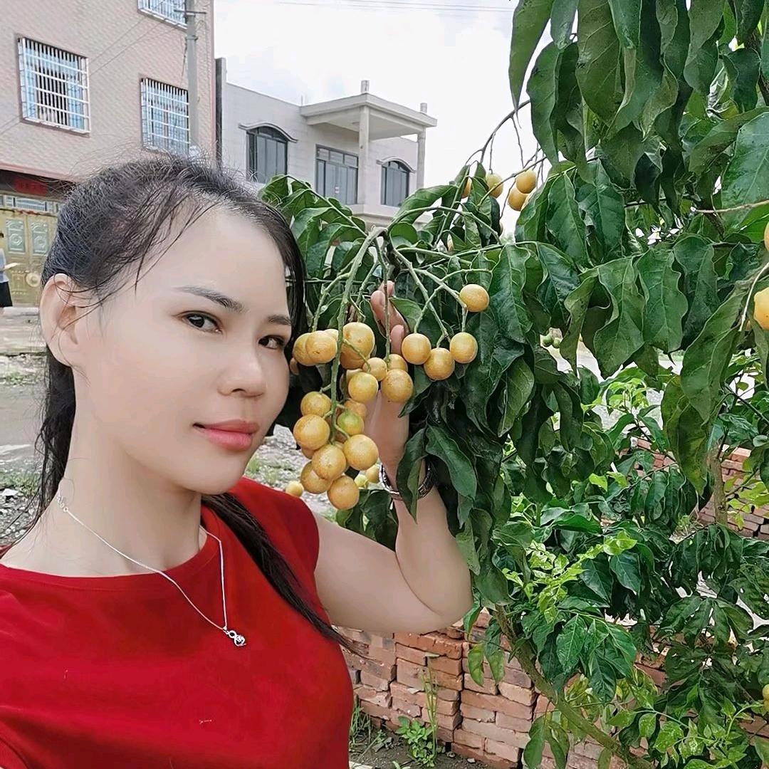 雪梅🌾