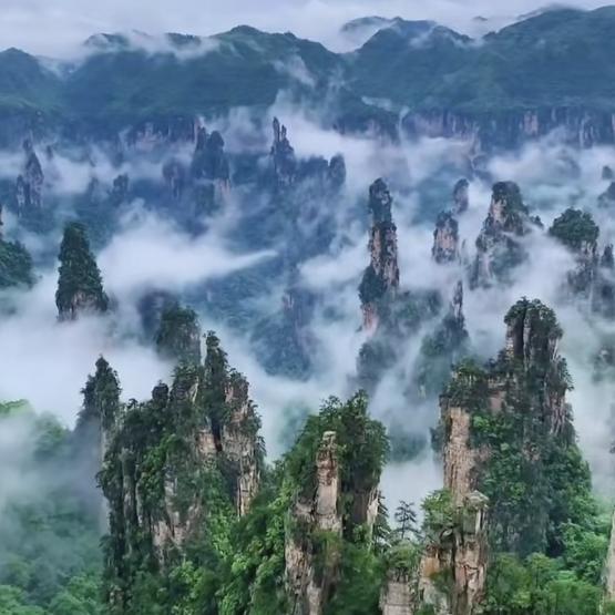 惠（呼吸）头像