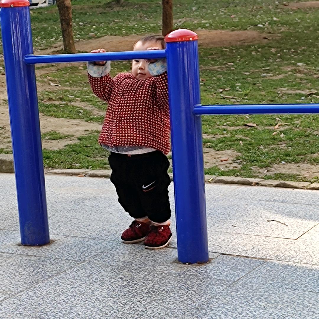 明月有朝暮。