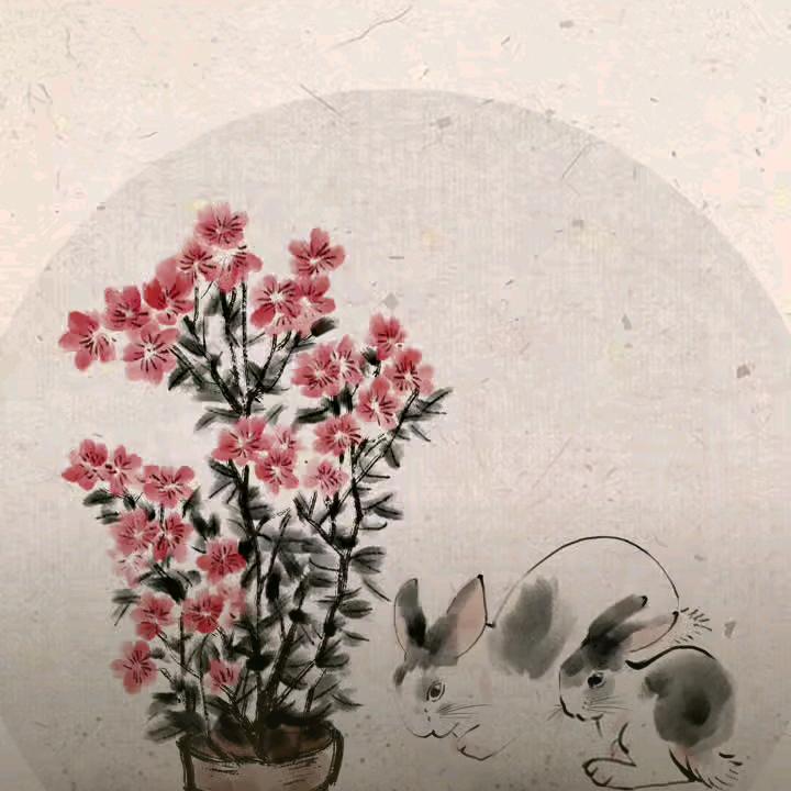 一切随缘
