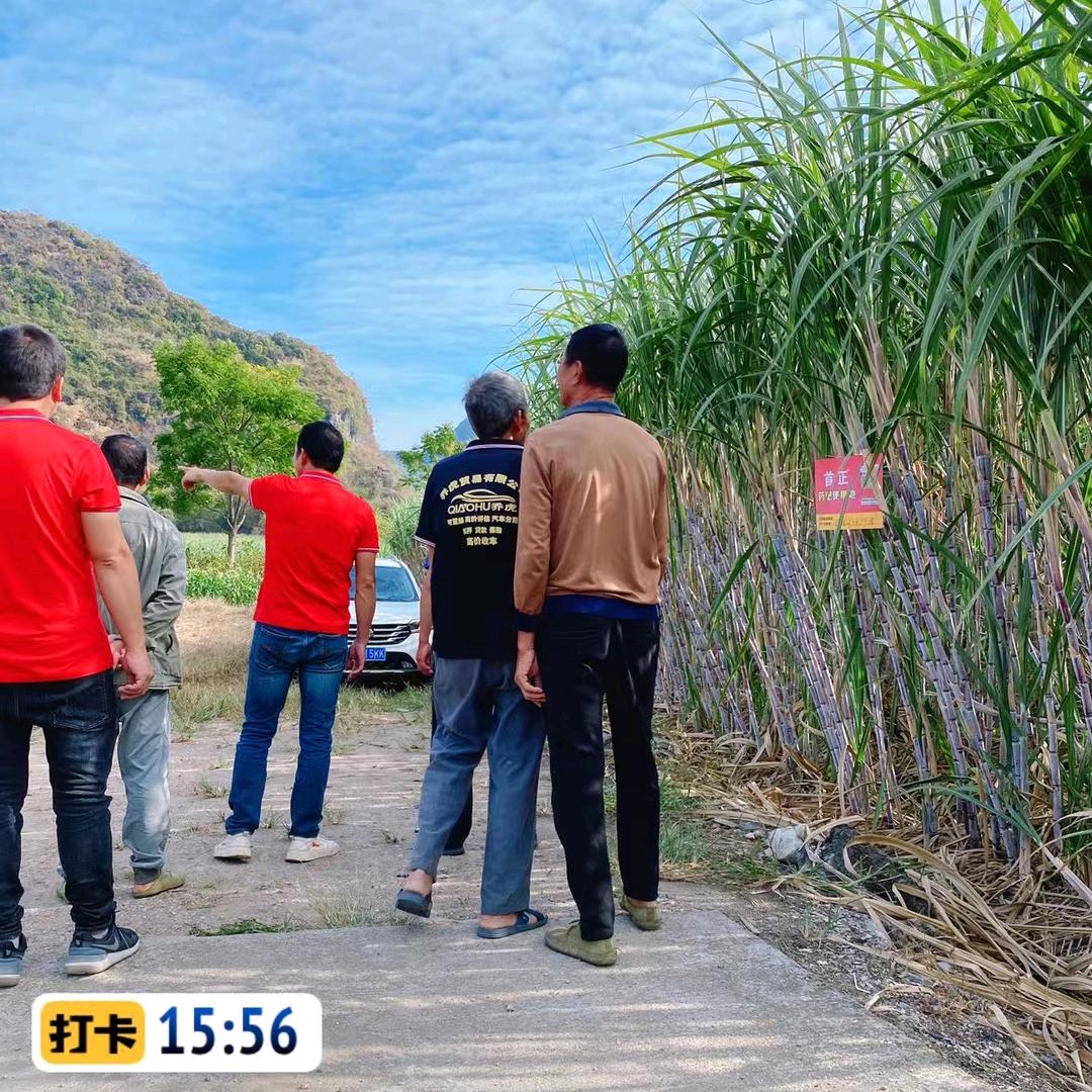 中农金田-李春志