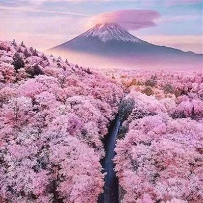 旧梦如烟