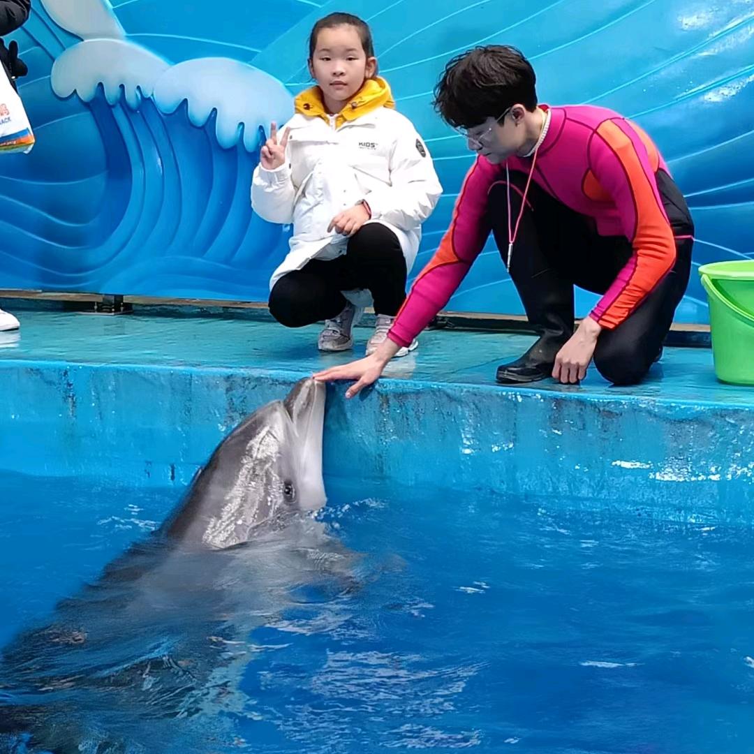 蹦叉叉。