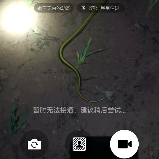 乡野  蛇精