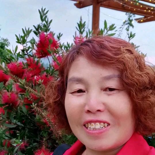 邓金芬头像