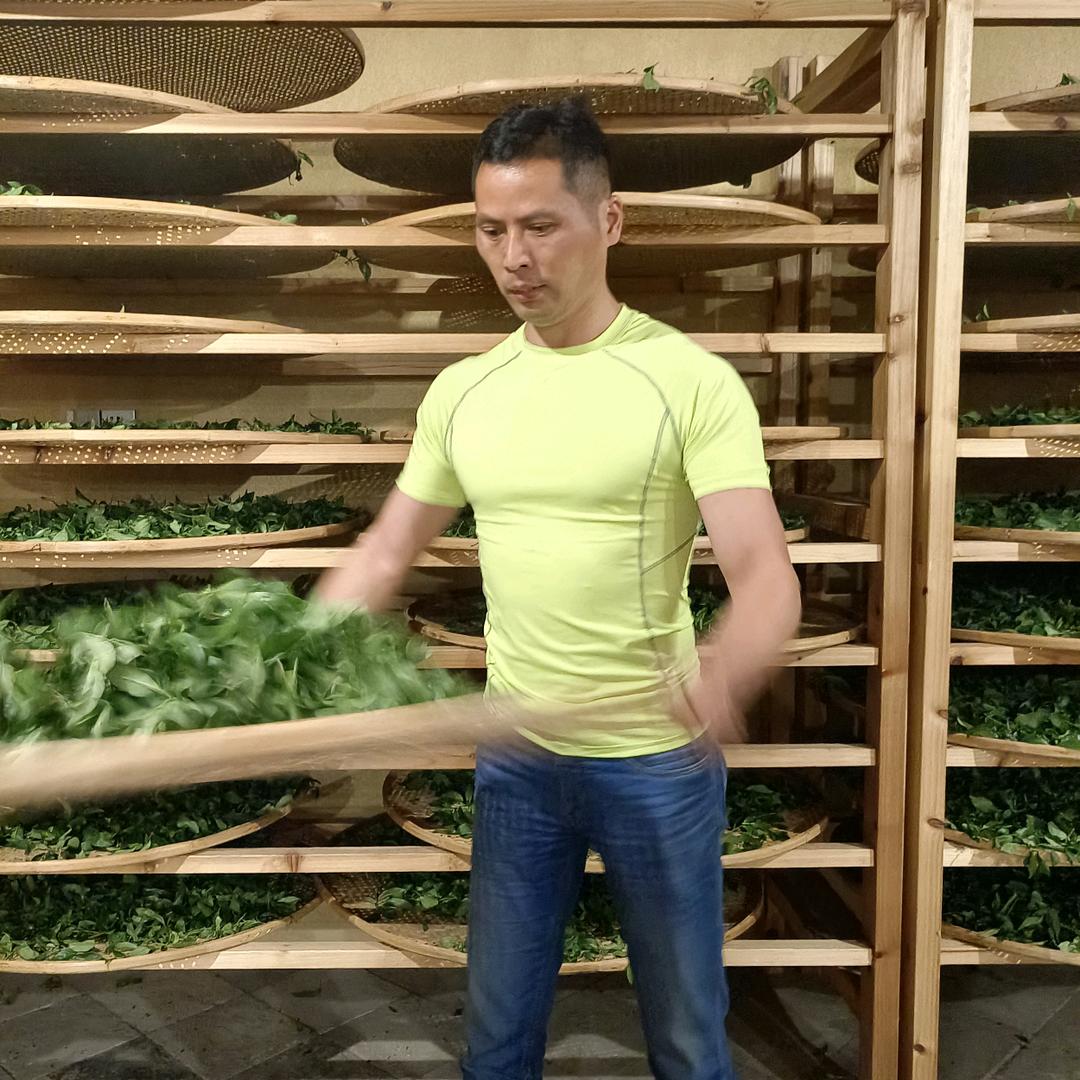 老班长岩茶