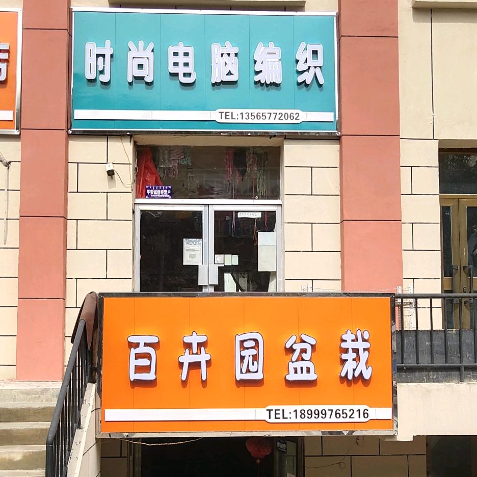 精河百卉园盆栽花店