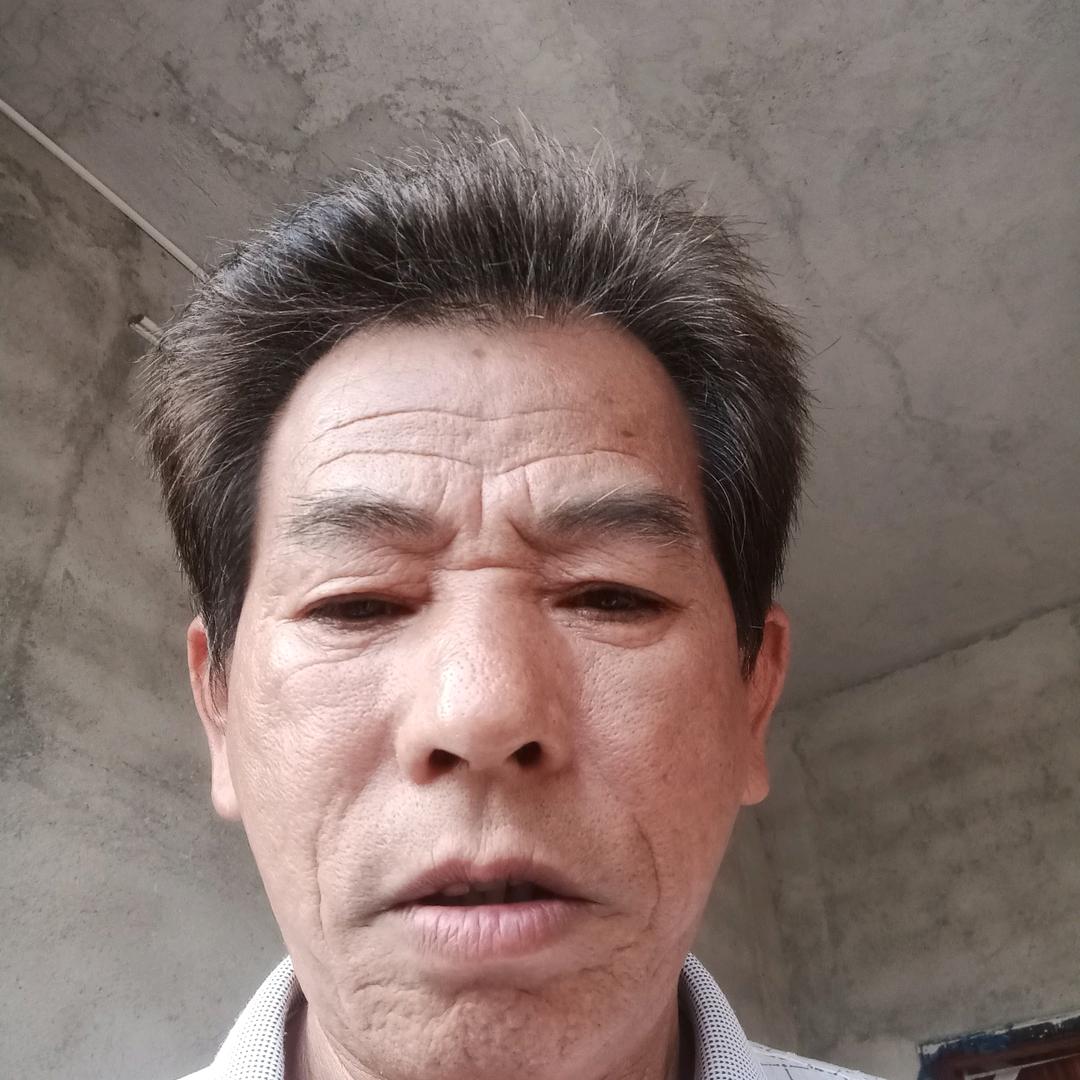 林树春