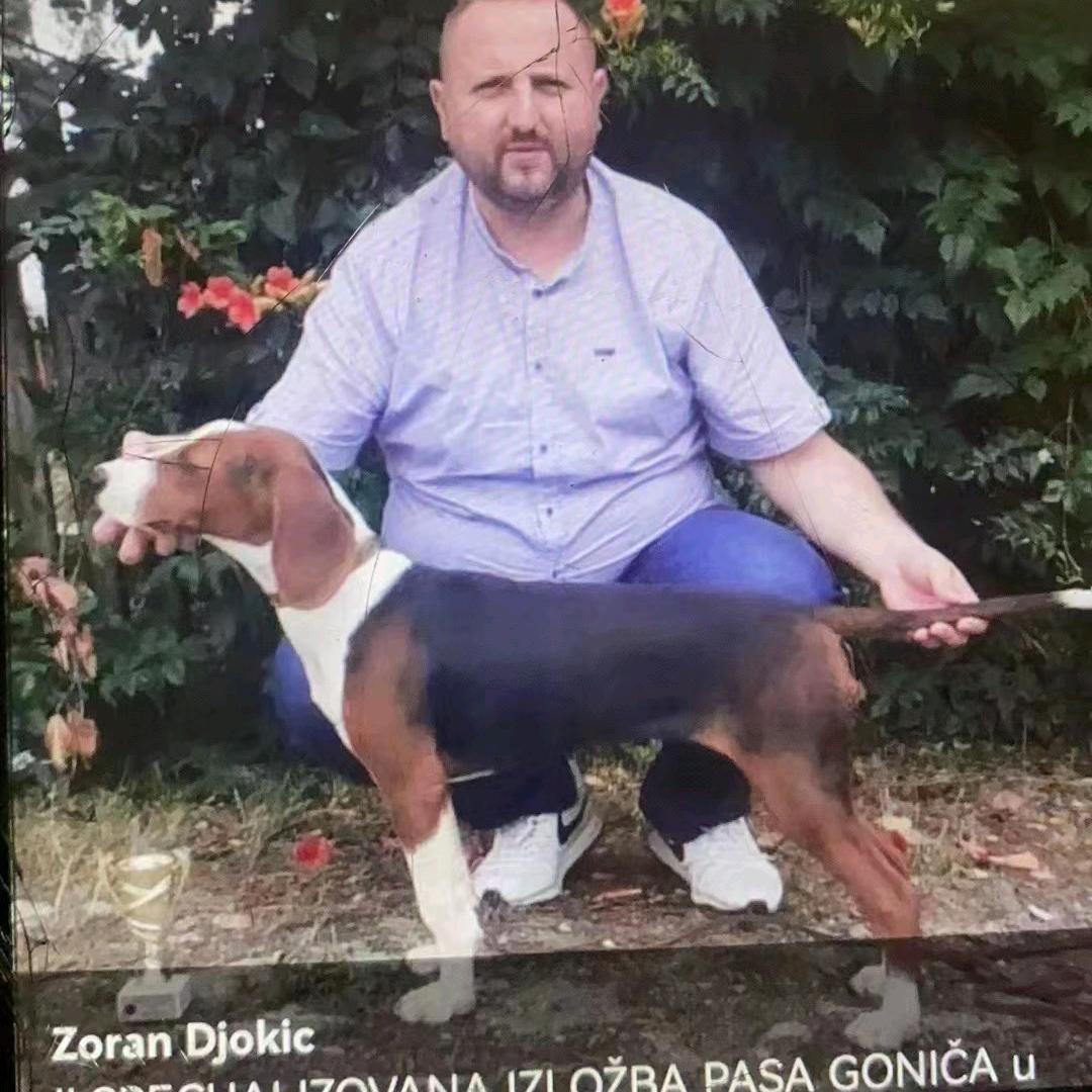 悠悠三色犬舍