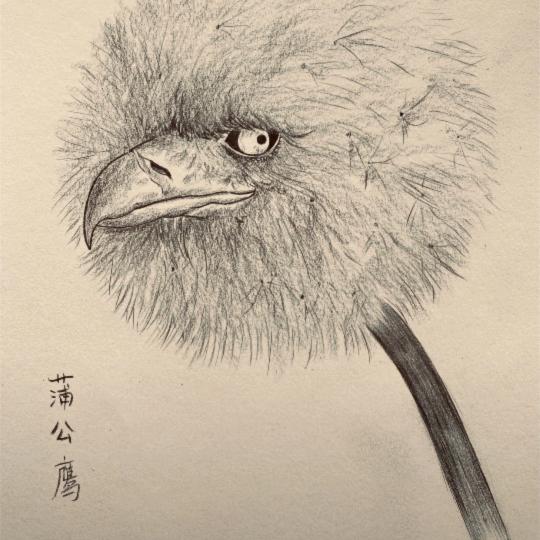 青衫烟雨青衫客