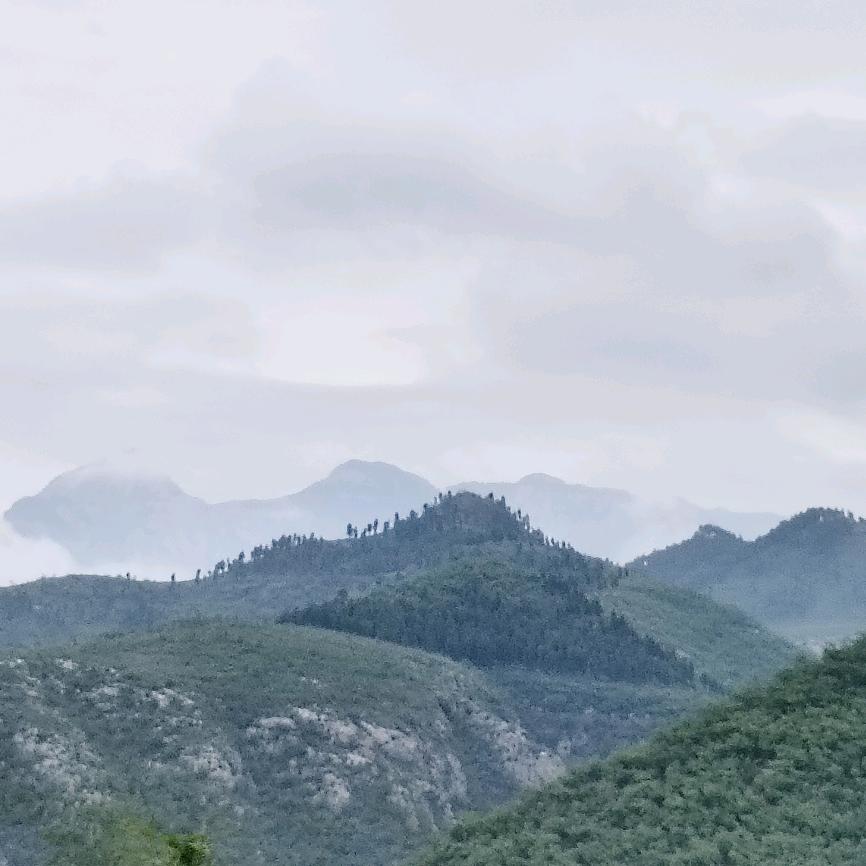 卖粮油的茶溜子☕