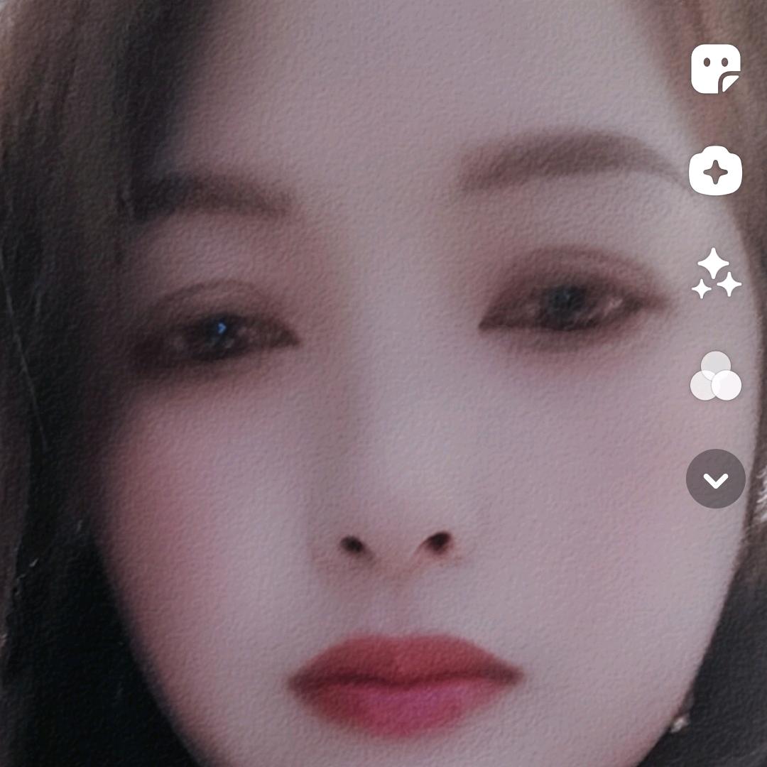 流浪的闲猫