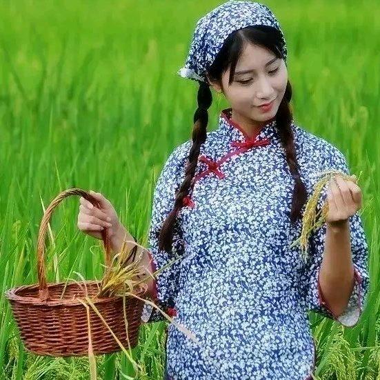家禽养殖能手