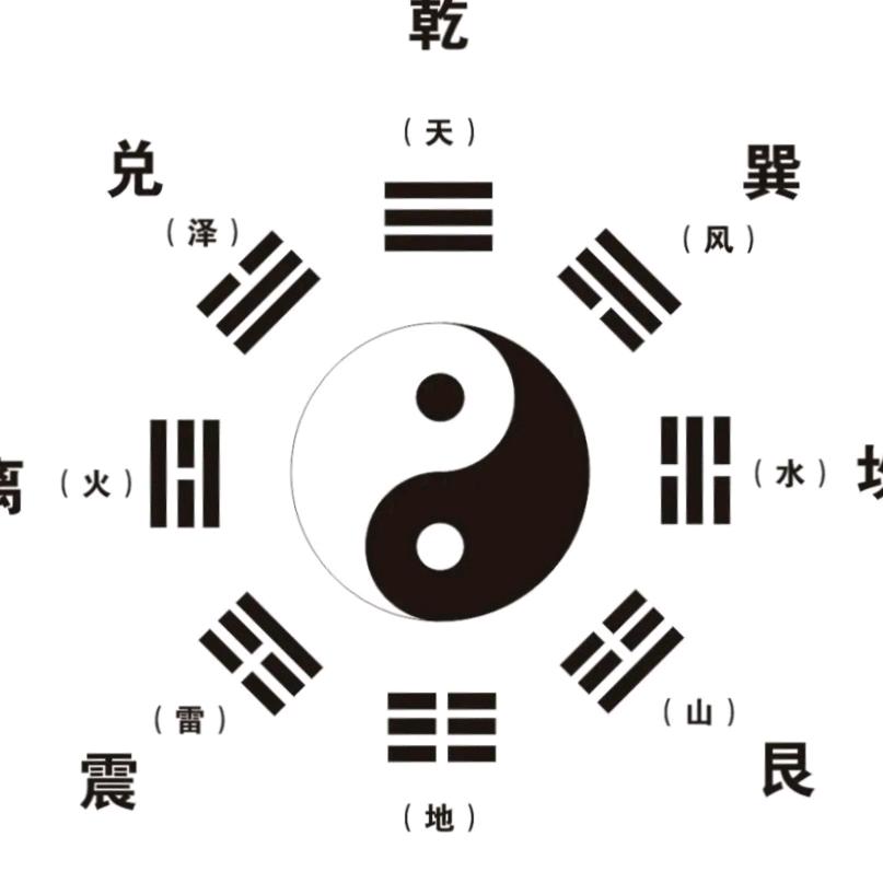 燕子来啦