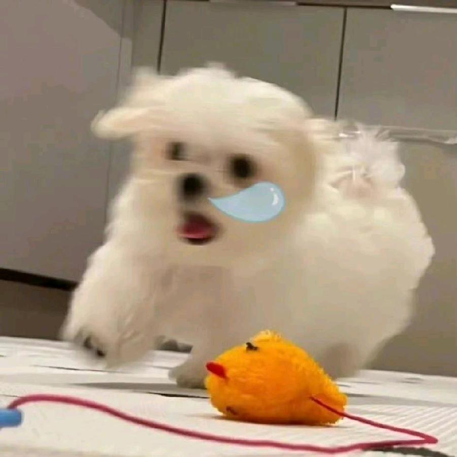 Muki