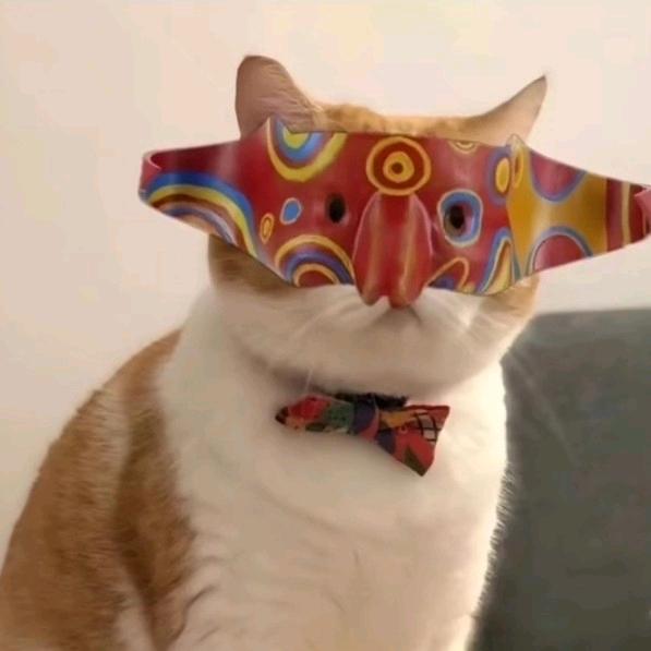 弋渺