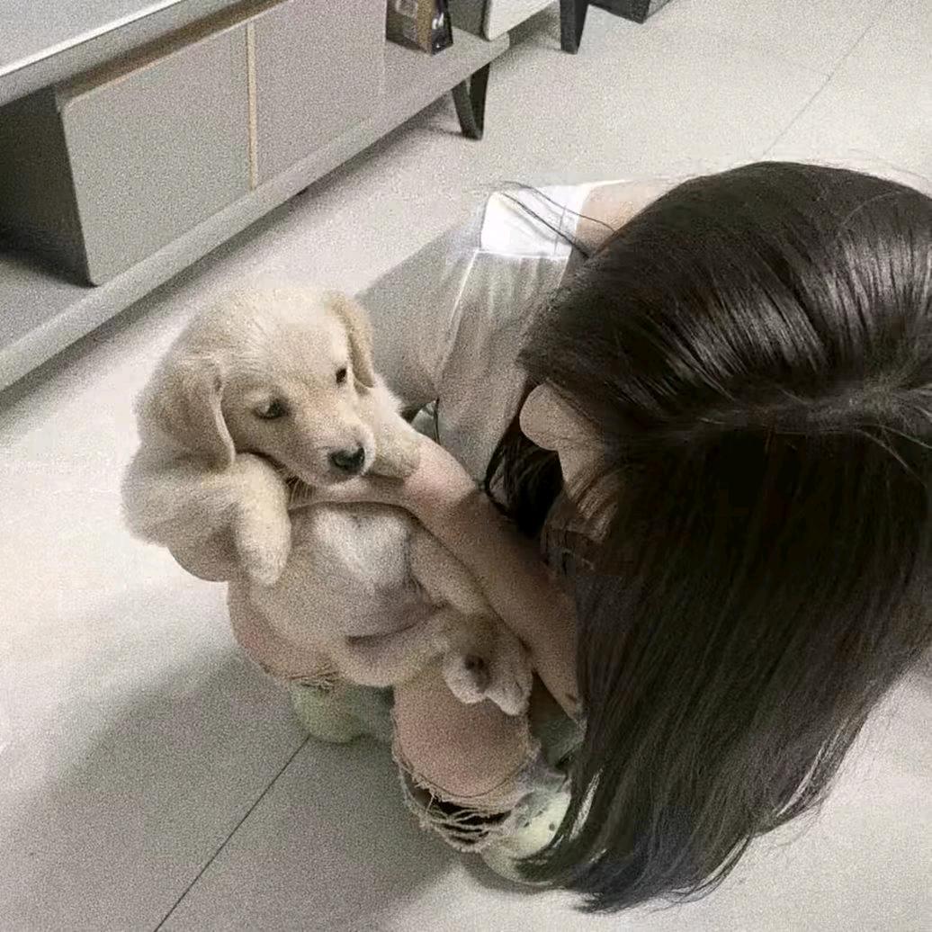 小猫.