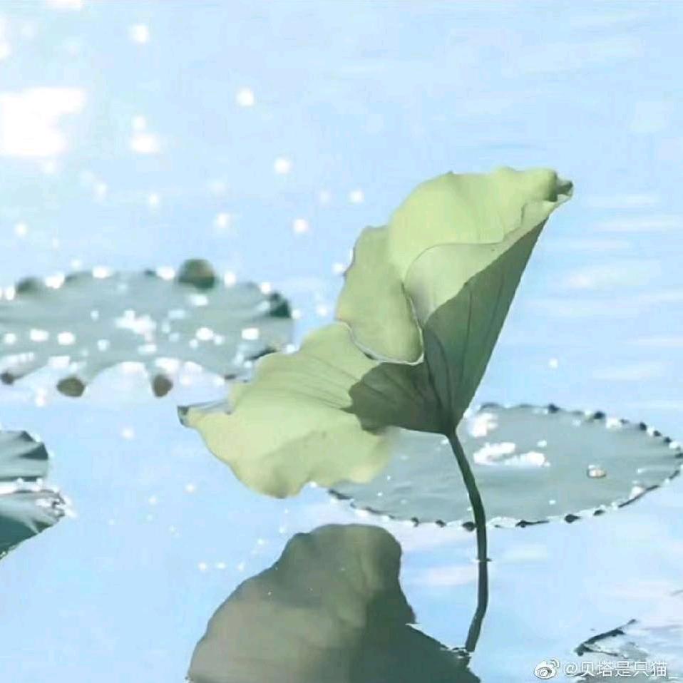 王启元