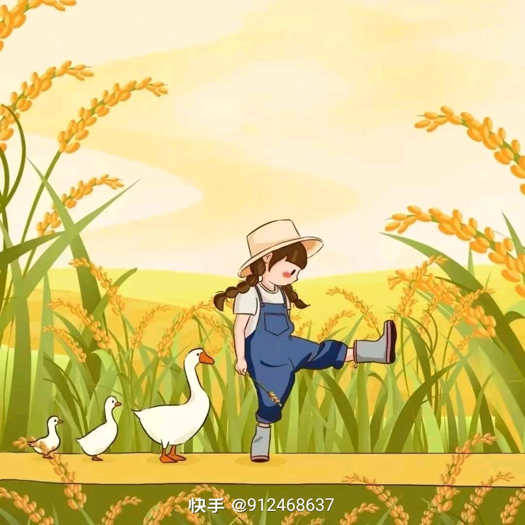 三叶草
