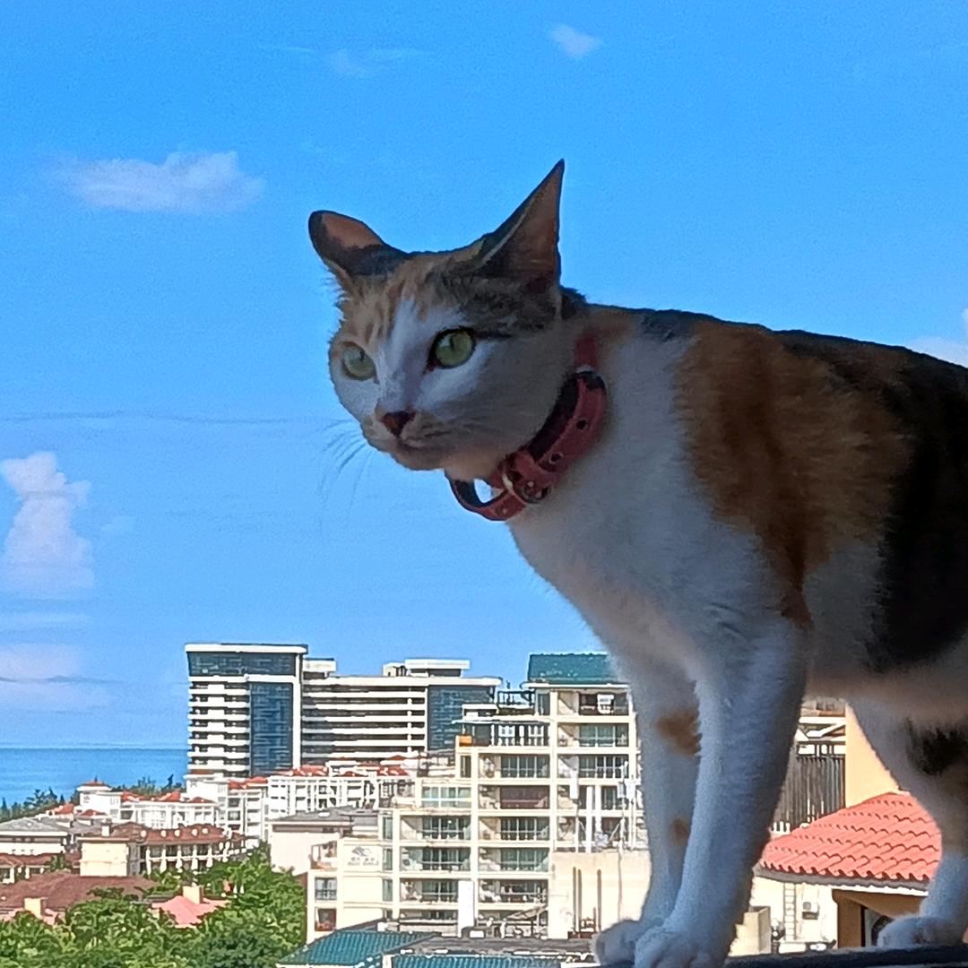 三亚郝哥