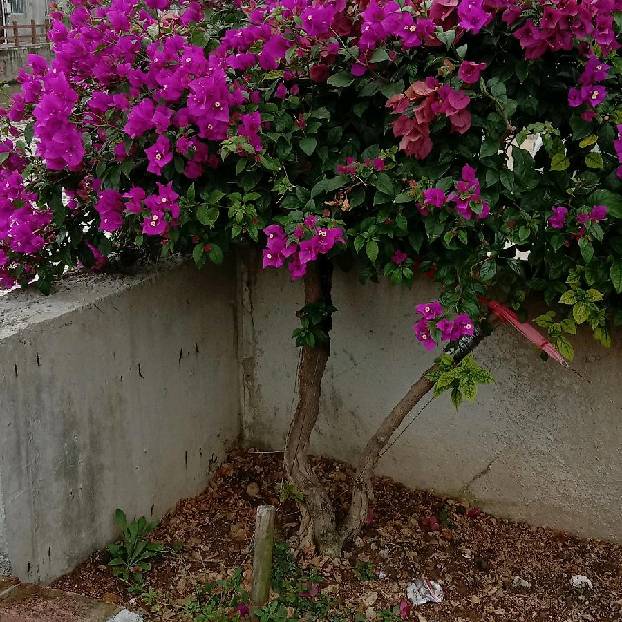 风雨同舟《每个星期六晚上七点开播》