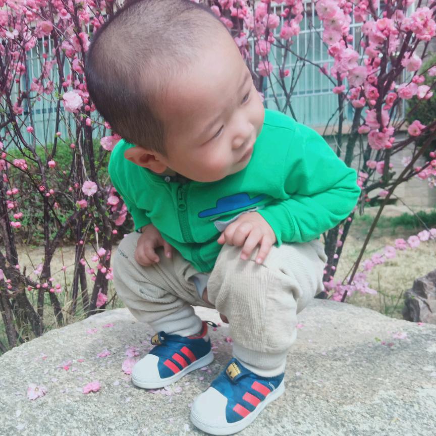 学琴