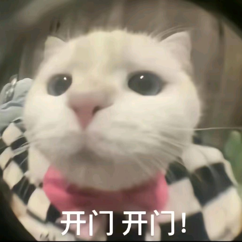 去码头整点薯条