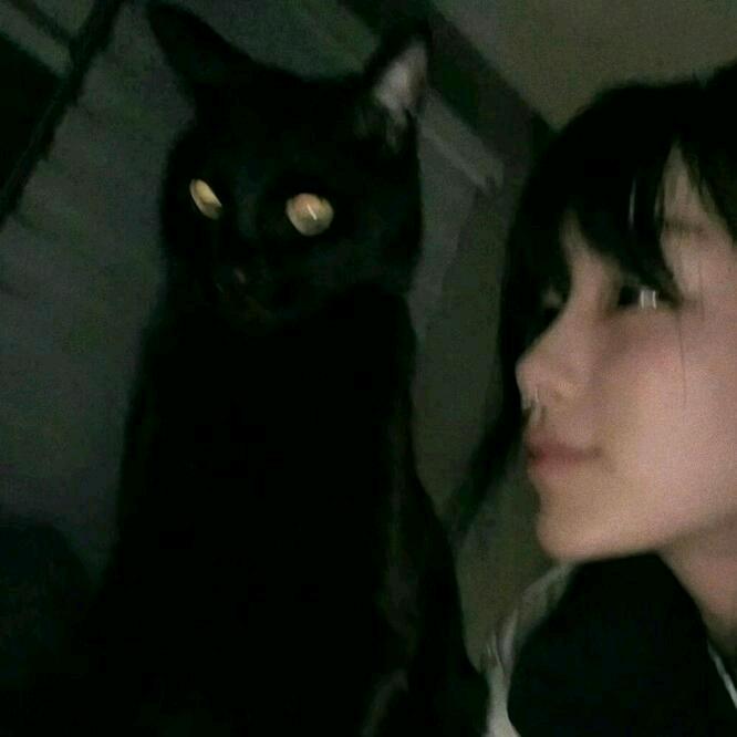 徐智才不才