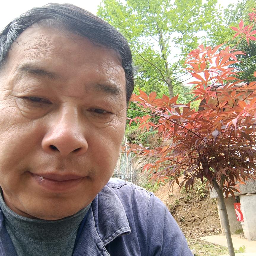 全民同乐