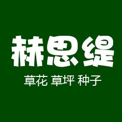红蓝青绿花卉