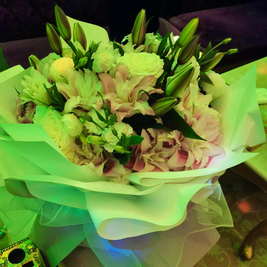 小豆豆