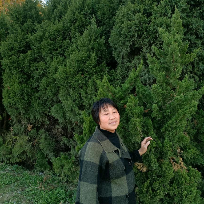 农村唐姐