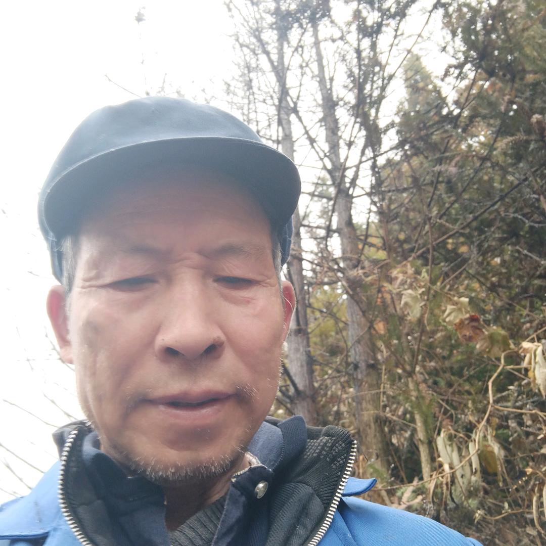 老郑的农村生活