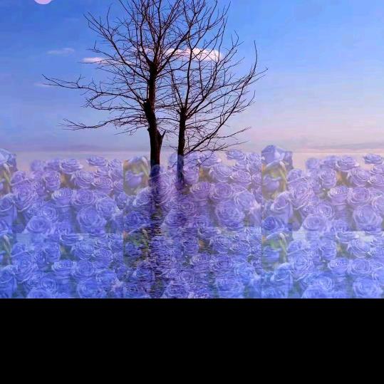 hhb。尐？、、\ m i啊