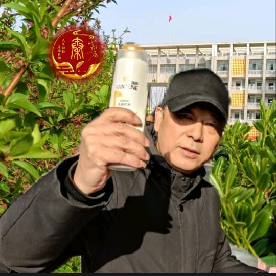 爷们老帅
