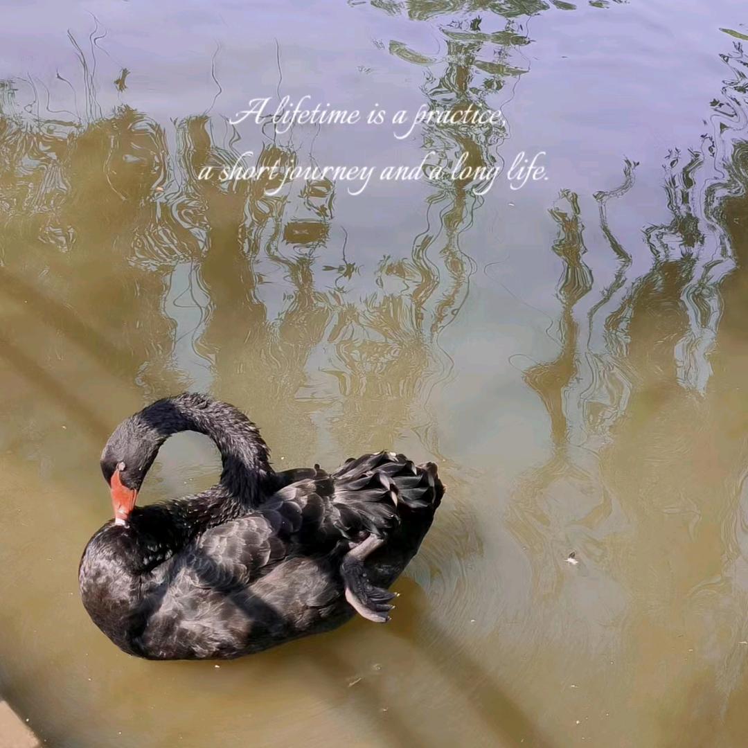 宝宝能量大大哒