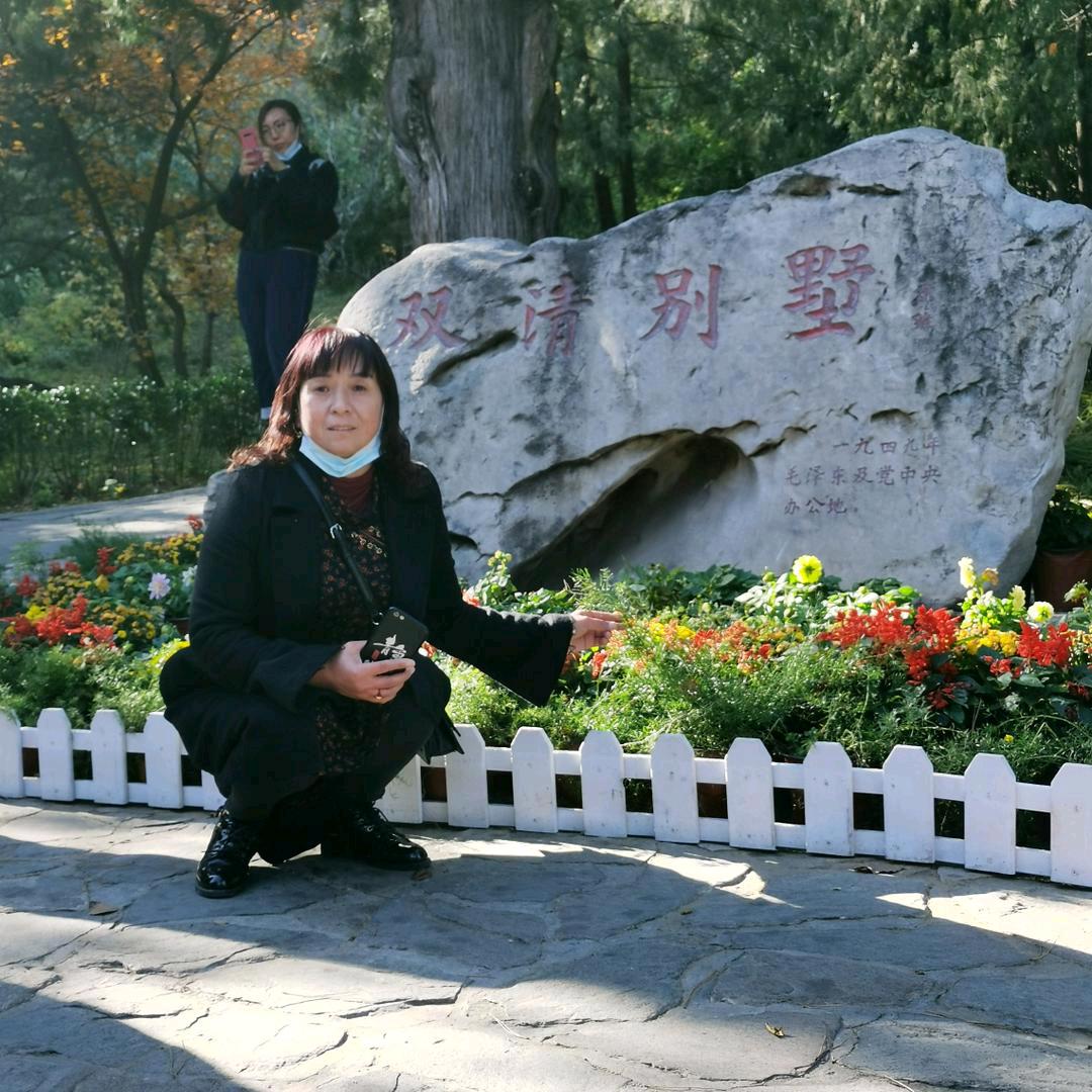 梦想飞扬