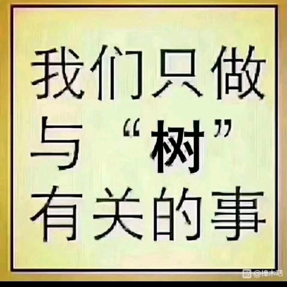 建辉