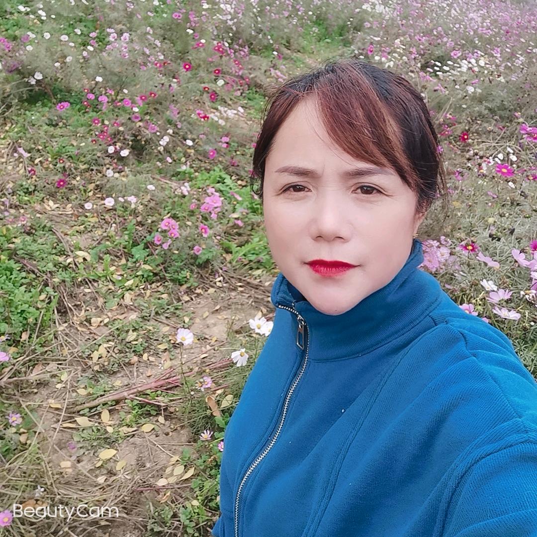 好思家窗帘