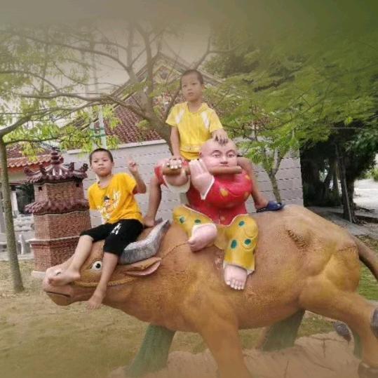 小肖荼叶