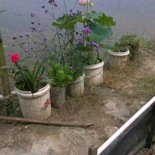 朋友你好