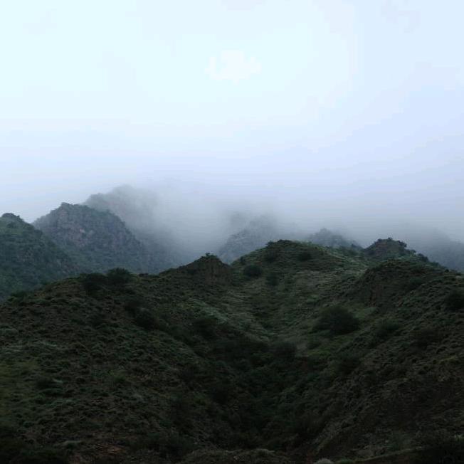 苏打水