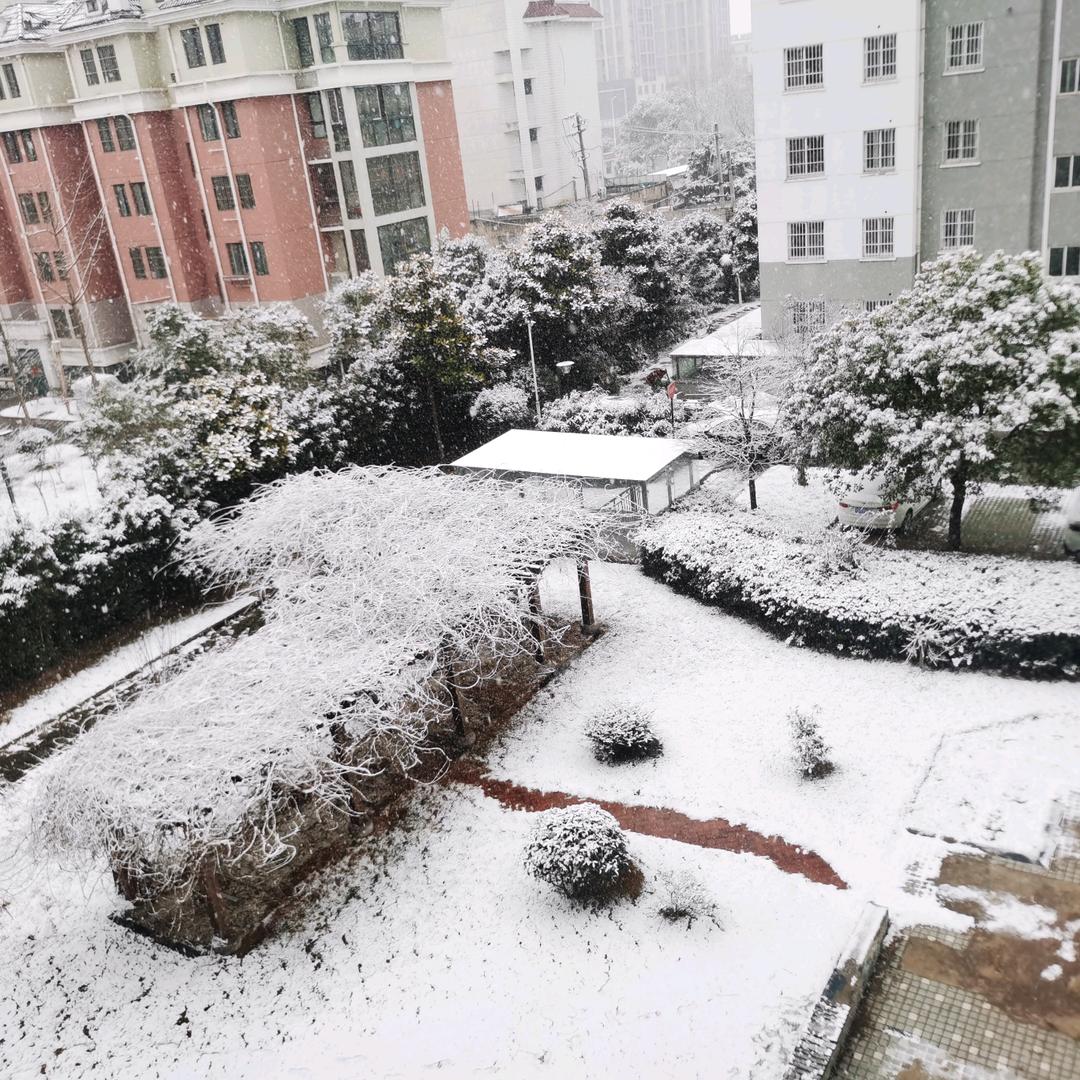 沉默不语（常）