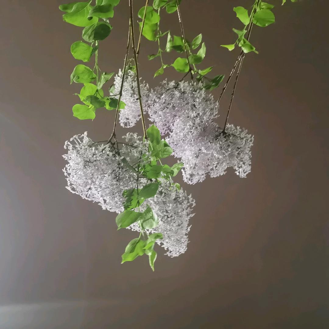 这种事儿怎么能公开呢