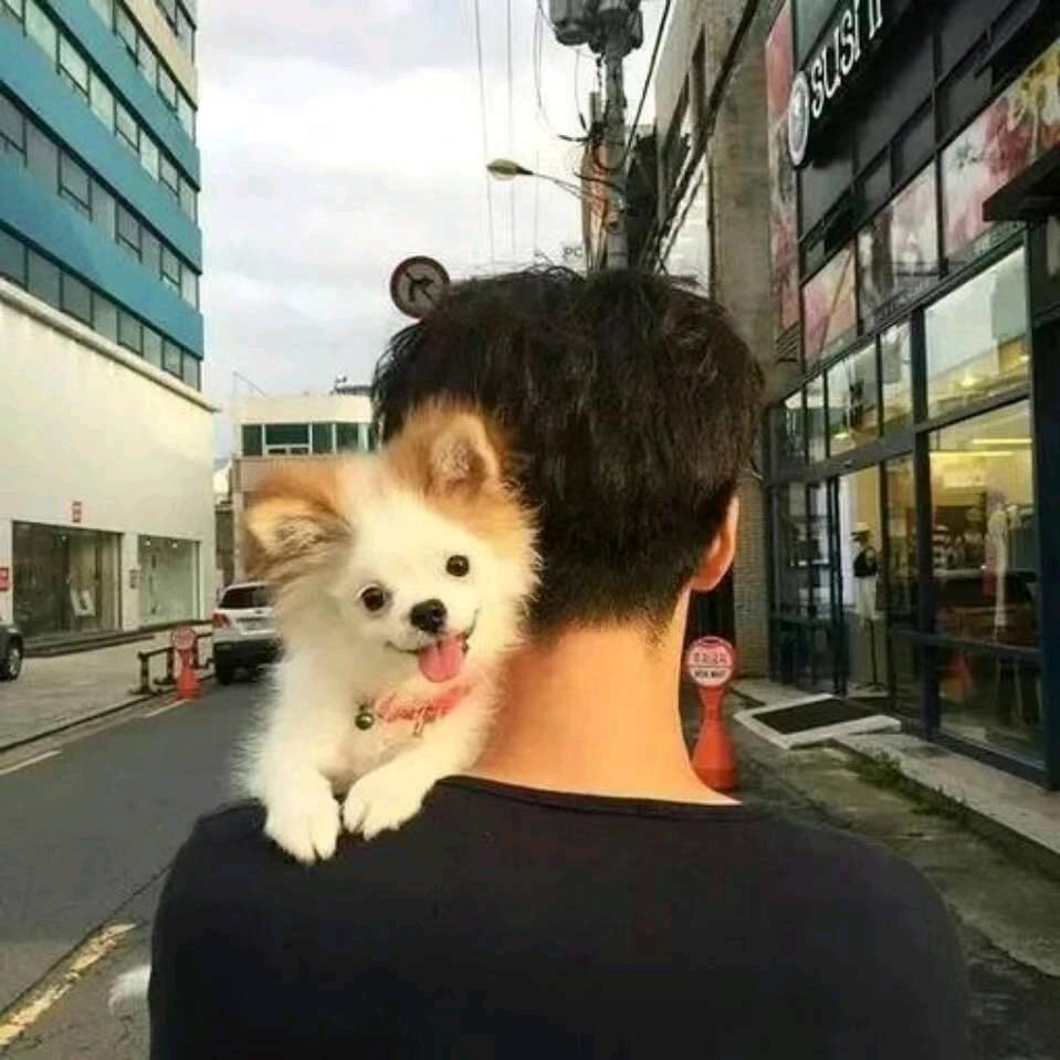 不知道叫什么